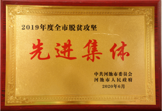 2019年度河池市脫貧攻堅(jiān)先進(jìn)集體